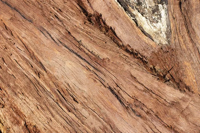 Gerahmter Druck : Holztextur mit Korn. Gerahmter Druck : Holztextur mit Korn.