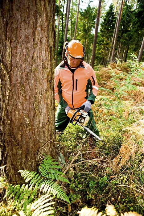 Gerahmter Druck : Ein Holzhauer am Werk im Wald. Gerahmter Druck : Ein Holzhauer am Werk im Wald.