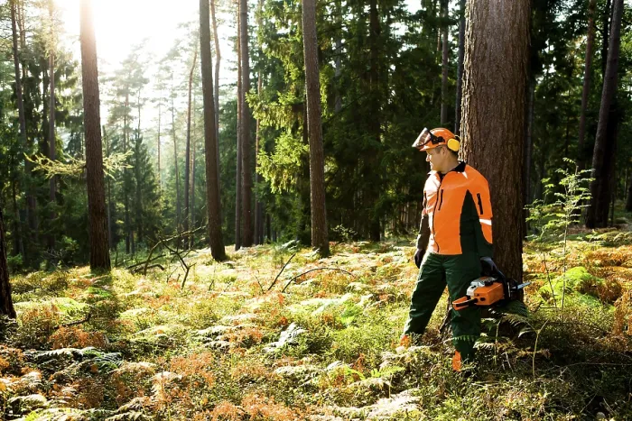 Gerahmter Druck : Ein Holzhauer im Wald. Gerahmter Druck : Ein Holzhauer im Wald.
