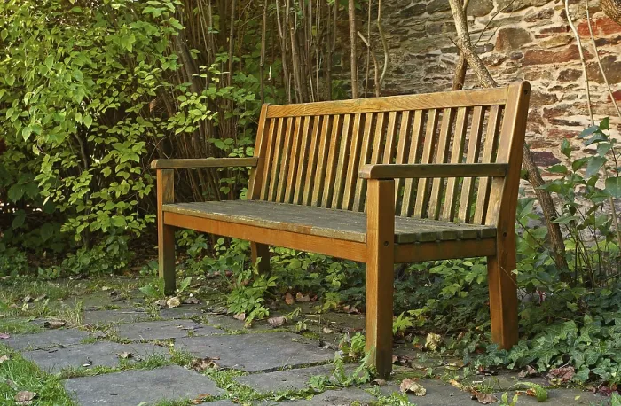 Gerahmter Druck : Holzparkbank Gerahmter Druck : Holzparkbank
