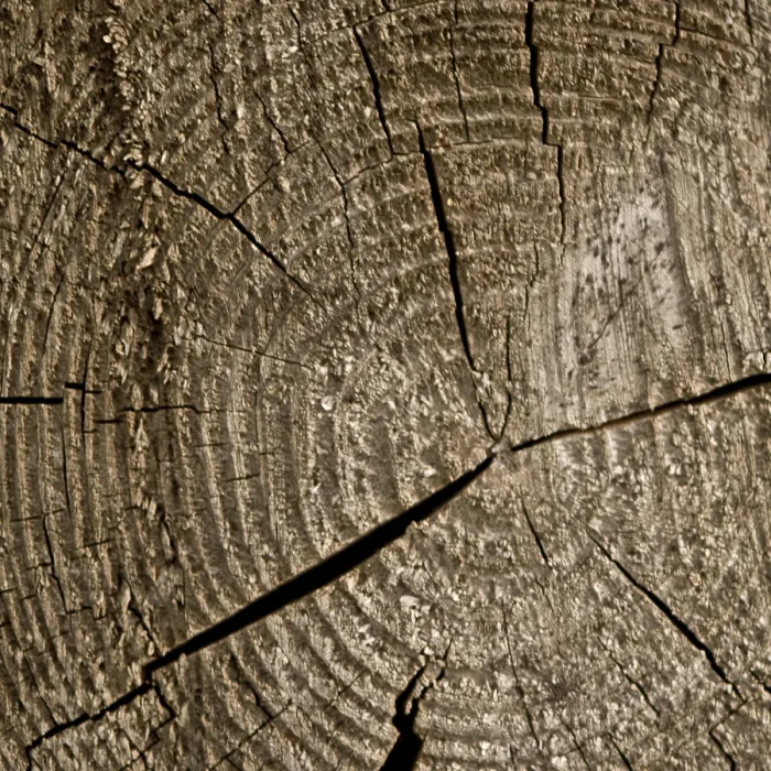 Gerahmter Druck : Holztextur Gerahmter Druck : Holztextur