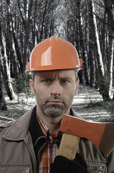 Gerahmter Druck : Holzhauer mit Beil Gerahmter Druck : Holzhauer mit Beil