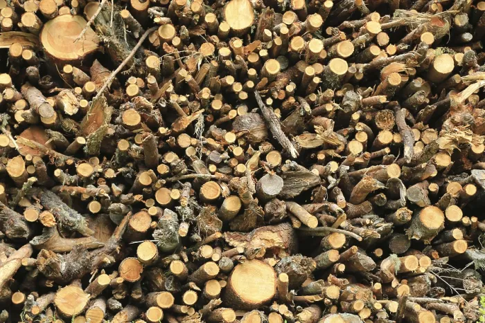 Gerahmter Druck : Woodpile Gerahmter Druck : Woodpile