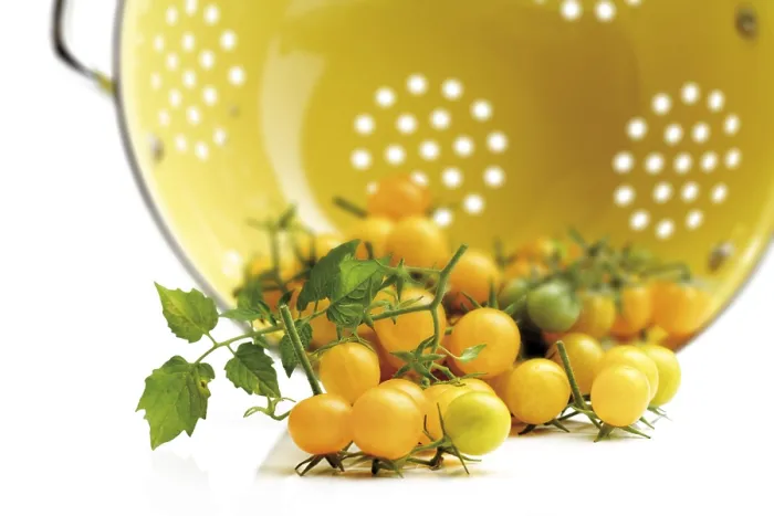 Gerahmter Druck : Gelbe Kirschtomaten Gerahmter Druck : Gelbe Kirschtomaten