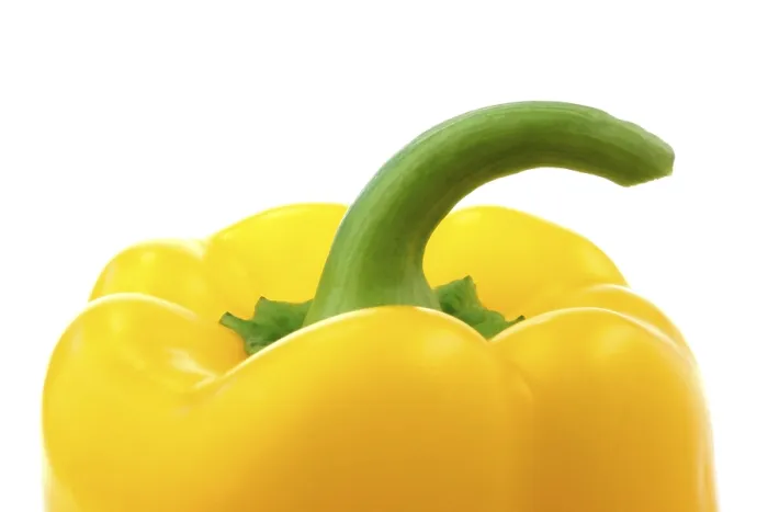 Gerahmter Druck : Ein gelber Paprika, (Capsicum annuum). Gerahmter Druck : Ein gelber Paprika, (Capsicum annuum).