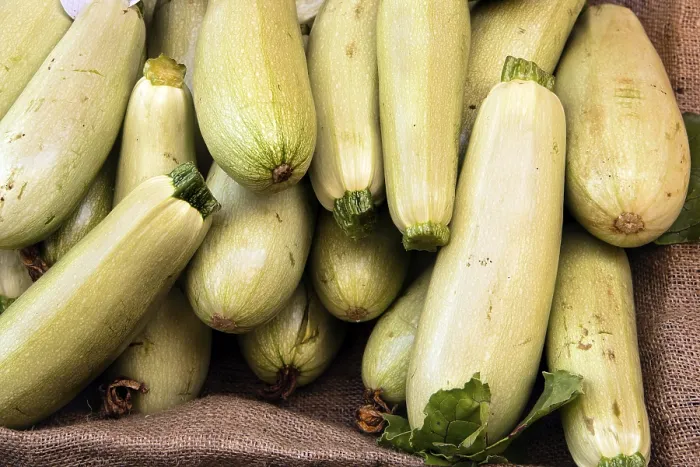 Gerahmter Druck : Gelber Zucchini Gerahmter Druck : Gelber Zucchini