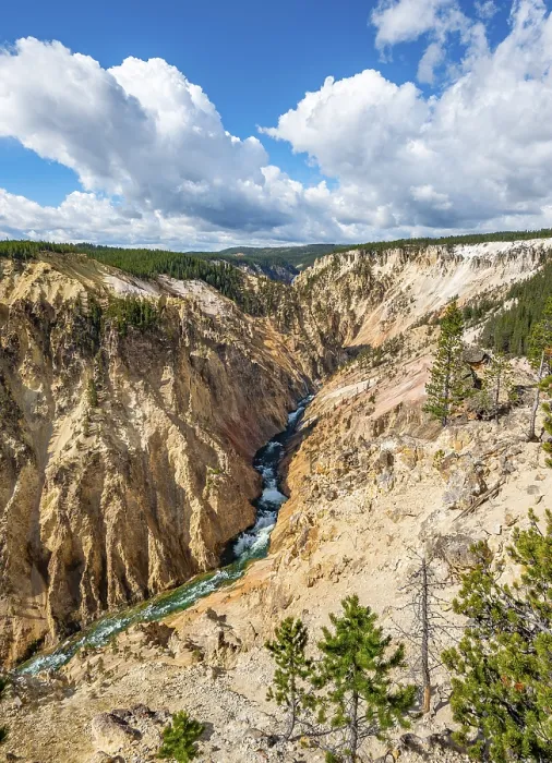 Gerahmter Druck : Der Yellowstone River fließt durch den Gorge. Gerahmter Druck : Der Yellowstone River fließt durch den Gorge.