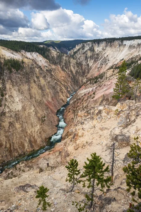 Gerahmter Druck : Der Yellowstone River fließt durch den Gorge. Gerahmter Druck : Der Yellowstone River fließt durch den Gorge.