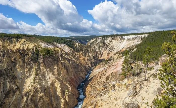 Gerahmter Druck : Der Yellowstone River fließt durch den Gorge. Gerahmter Druck : Der Yellowstone River fließt durch den Gorge.