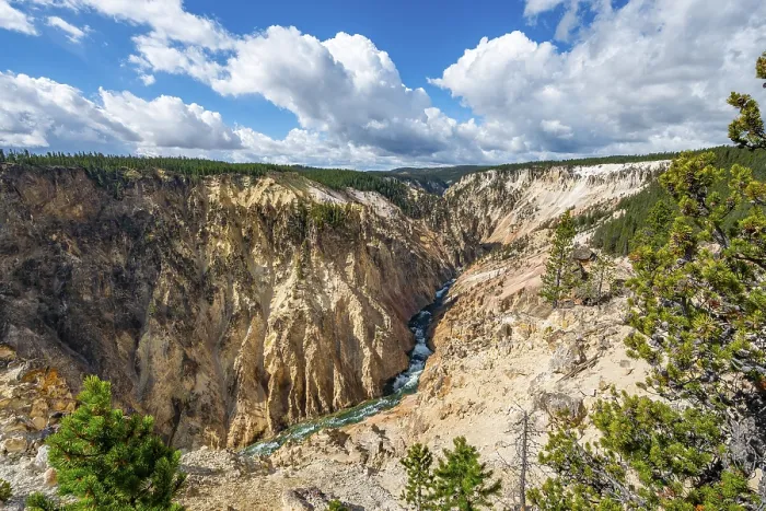 Gerahmter Druck : Der Yellowstone River fließt durch den Gorge. Gerahmter Druck : Der Yellowstone River fließt durch den Gorge.