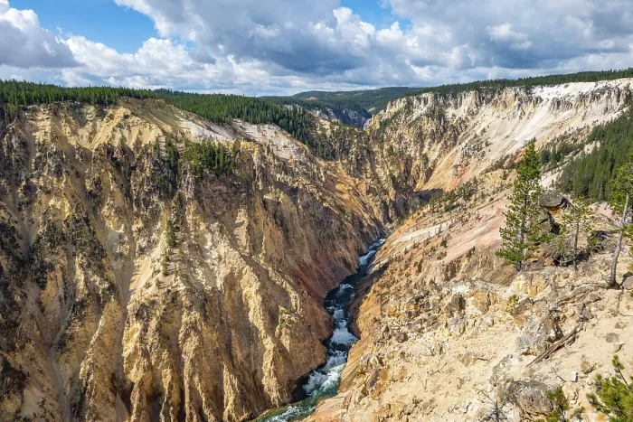 Gerahmter Druck : Der Yellowstone River fließt durch den Gorge. Gerahmter Druck : Der Yellowstone River fließt durch den Gorge.