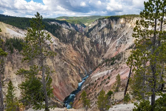 Gerahmter Druck : Der Yellowstone River fließt durch den Gorge.