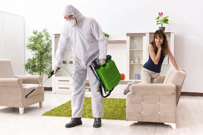 Gerahmter Druck : Jüngerer professioneller Handwerker, der bei einem Wohnhaus Insektenschädlingsbekämpfung durchführt. Gerahmter Druck : Jüngerer professioneller Handwerker, der bei einem Wohnhaus Insektenschädlingsbekämpfung durchführt.