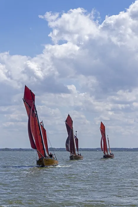 Gerahmter Druck : Segelregatta, Wustrow, Saaler Bodden Gerahmter Druck : Segelregatta, Wustrow, Saaler Bodden