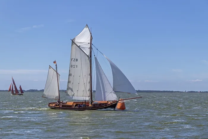 Gerahmter Druck : Segelregatta, Wustrow, Saaler Bodden Gerahmter Druck : Segelregatta, Wustrow, Saaler Bodden