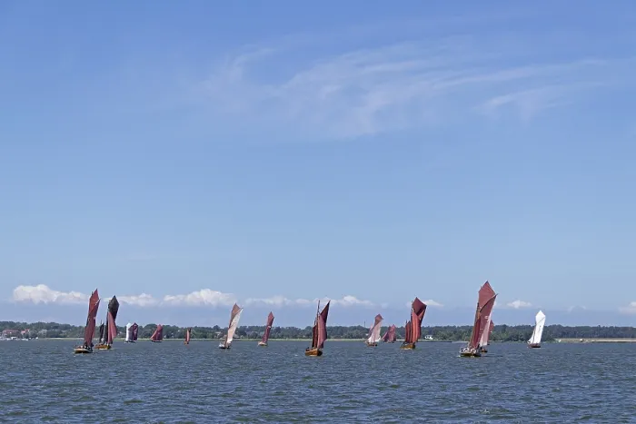Gerahmter Druck : Zeilsportregatta, Wustrow, Saaler Bodden Gerahmter Druck : Zeilsportregatta, Wustrow, Saaler Bodden