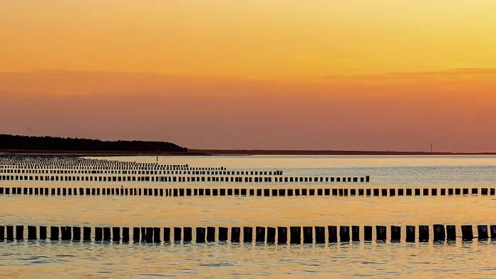 Gerahmter Druck : Zingst Gerahmter Druck : Zingst