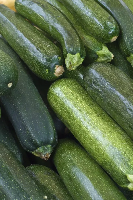 Gerahmter Druck : Zucchini Gerahmter Druck : Zucchini