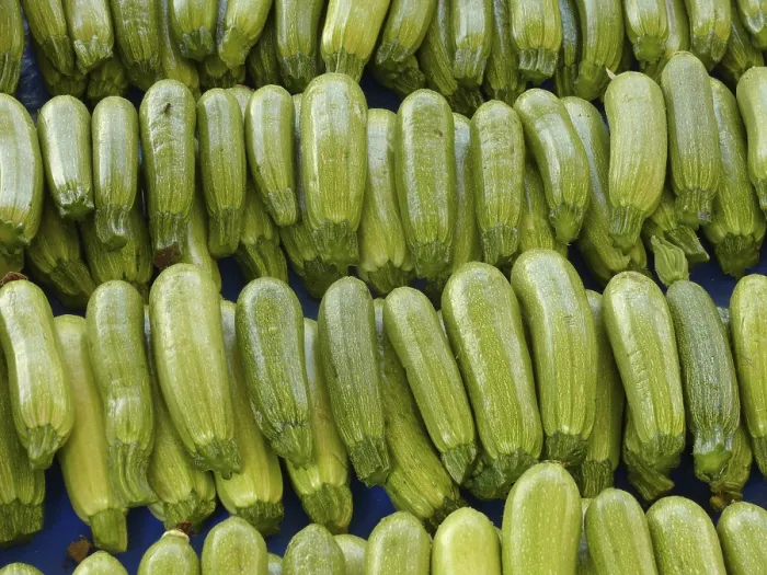 Gerahmter Druck : Zucchini Gerahmter Druck : Zucchini