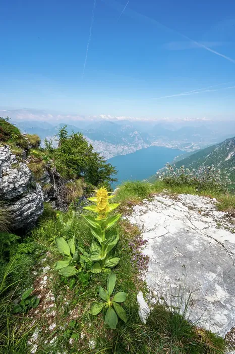 Gerahmter Druck : Gardasee-Print vom Monte Baldo Gerahmter Druck : Gardasee-Print vom Monte Baldo