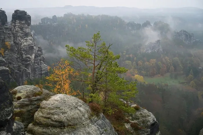 Gerahmter Druck : Herbst Print in Sächsische Schweiz Landscape