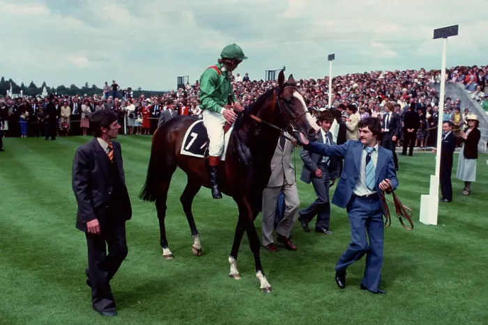 Gerahmter Druck : Shergar Ascot Gerahmter Druck : Shergar Ascot