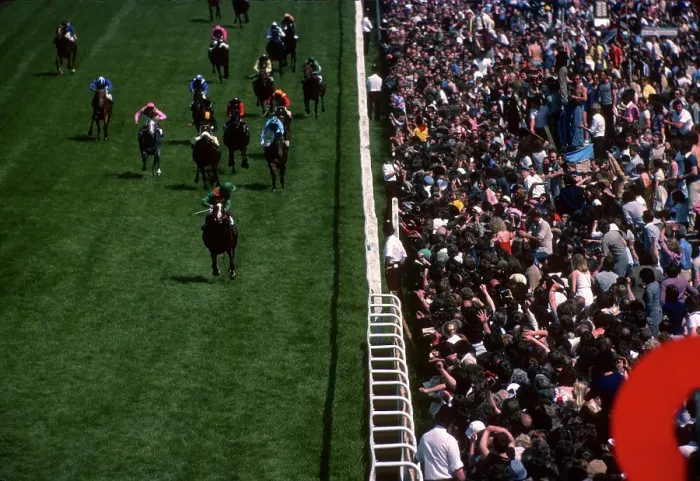 Gerahmter Druck : Shergar Epsom Derby Gerahmter Druck : Shergar Epsom Derby