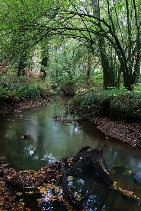Gerahmter Druck : Bach, Fluss Gerahmter Druck : Bach, Fluss