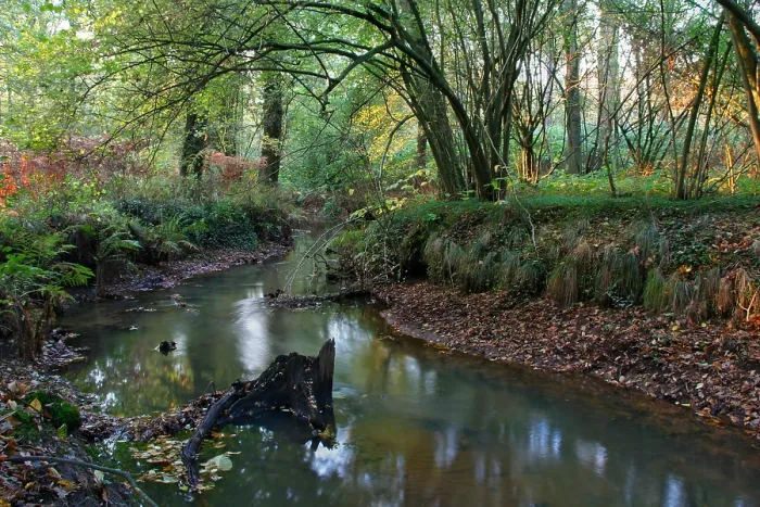 Gerahmter Druck : Bach, Fluss Gerahmter Druck : Bach, Fluss