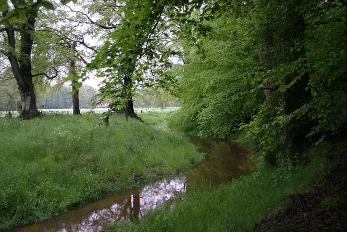 Gerahmter Druck : Bach, Fluss Gerahmter Druck : Bach, Fluss