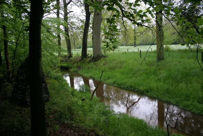 Gerahmter Druck : Bach, Fluss Gerahmter Druck : Bach, Fluss