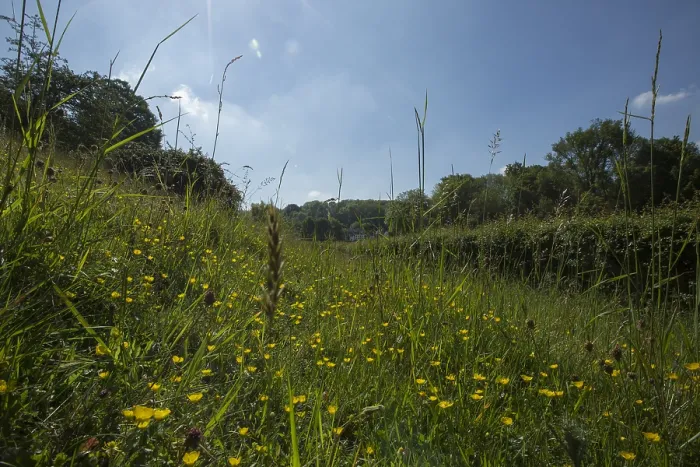 Gerahmter Druck : Bemelerberg Gerahmter Druck : Bemelerberg