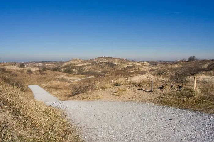 Gerahmter Druck : Berkheide zwischen Katwijk und Wassenaar Gerahmter Druck : Berkheide zwischen Katwijk und Wassenaar
