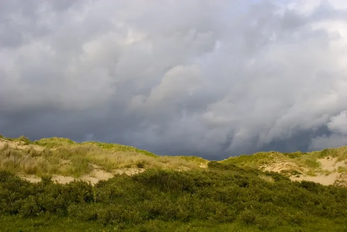 Gerahmter Druck : Berkheide zwischen Katwijk und Wassenaar Gerahmter Druck : Berkheide zwischen Katwijk und Wassenaar