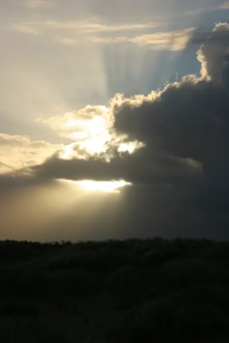 Gerahmter Druck : Berkheide. Duinlandschaft in Berkheide; Dünen in Berkheide Gerahmter Druck : Berkheide. Duinlandschaft in Berkheide; Dünen in Berkheide