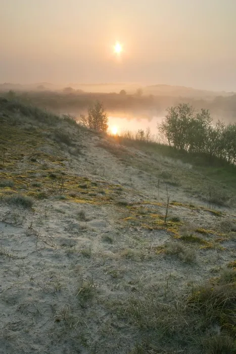 Gerahmter Druck : Berkheide zwischen Katwijk und Wassenaar Gerahmter Druck : Berkheide zwischen Katwijk und Wassenaar