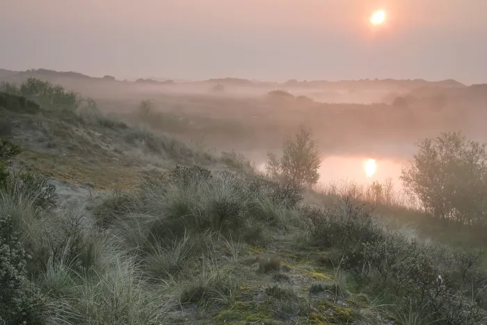 Gerahmter Druck : Berkheide zwischen Katwijk und Wassenaar