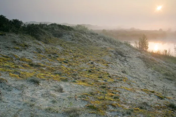 Gerahmter Druck : Berkheide zwischen Katwijk und Wassenaar Gerahmter Druck : Berkheide zwischen Katwijk und Wassenaar