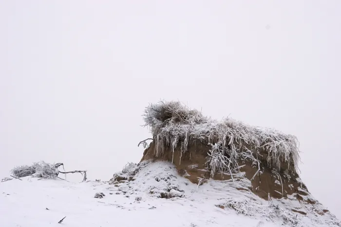 Gerahmter Druck : Berkheide. Winters duinlandschaft in Berkheide; Berkheide im Winter Gerahmter Druck : Berkheide. Winters duinlandschaft in Berkheide; Berkheide im Winter