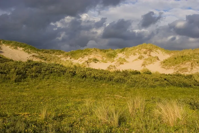 Gerahmter Druck : Berkheide zwischen Katwijk und Wassenaar Gerahmter Druck : Berkheide zwischen Katwijk und Wassenaar
