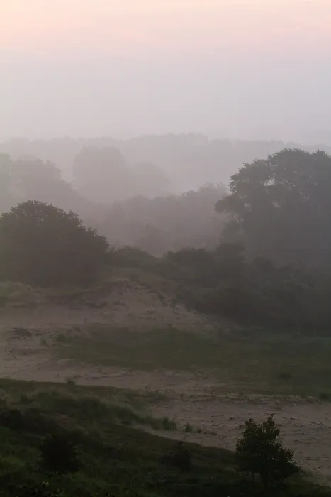 Gerahmter Druck : Berkheide, Berkheide