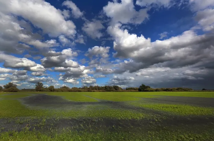 Gerahmter Druck : Biesbosch. Eine imposante Wolkenlandschaft über dem Biesbosch