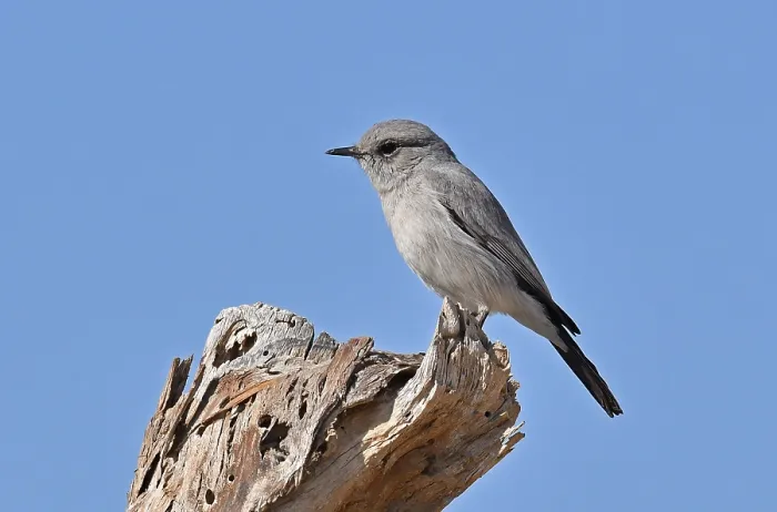 Gerahmter Druck : Blackstart in Oman Gerahmter Druck : Blackstart in Oman