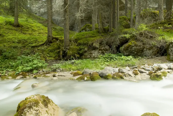 Gerahmter Druck : Bosbeek, Waldbach Gerahmter Druck : Bosbeek, Waldbach