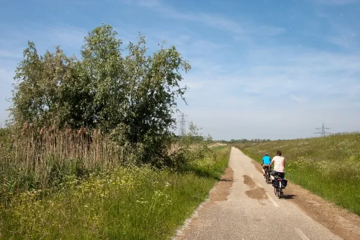 Gerahmter Druck : Brabantsche Biesbosch Gerahmter Druck : Brabantsche Biesbosch