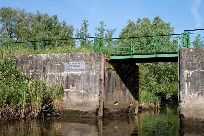 Gerahmter Druck : Brabantsche Biesbosch Gerahmter Druck : Brabantsche Biesbosch