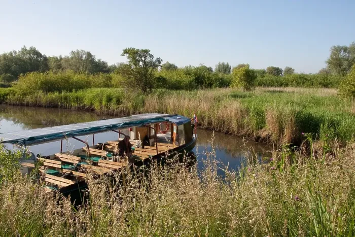 Gerahmter Druck : Brabantsche Biesbosch Gerahmter Druck : Brabantsche Biesbosch