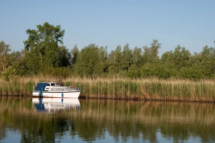Gerahmter Druck : Brabantsche Biesbosch Gerahmter Druck : Brabantsche Biesbosch