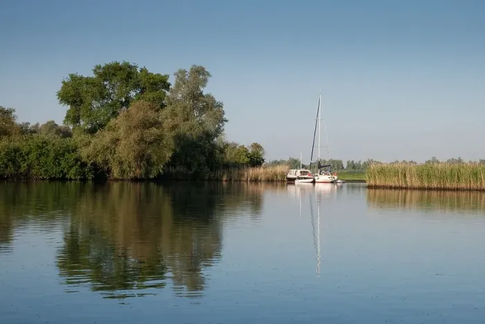 Gerahmter Druck : Brabantsche Biesbosch Gerahmter Druck : Brabantsche Biesbosch