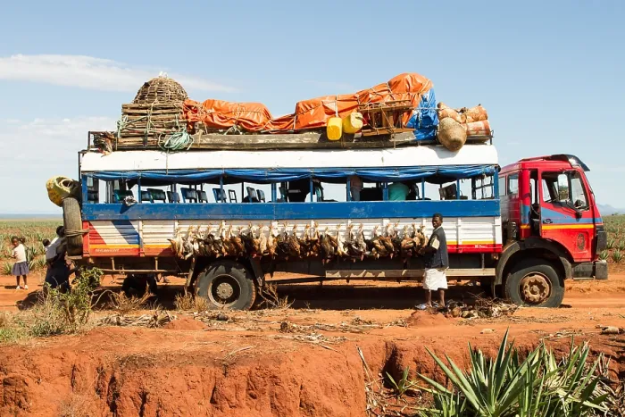 Gerahmter Druck : Hühner auf dem Bus in Madagaskar. Gerahmter Druck : Hühner auf dem Bus in Madagaskar.